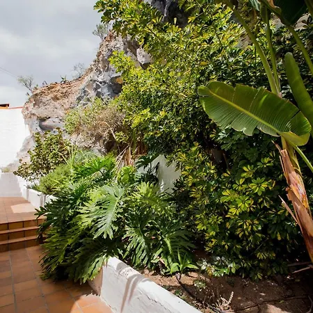 With Heated Private Pool And Exotic Garden Tejina de Isora